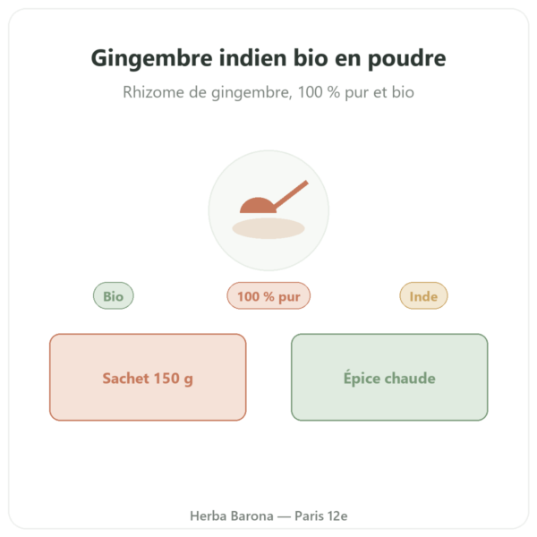 Poudre de gingembre indien bio 150 g Ayur-vana presentation Paris Herba Barona