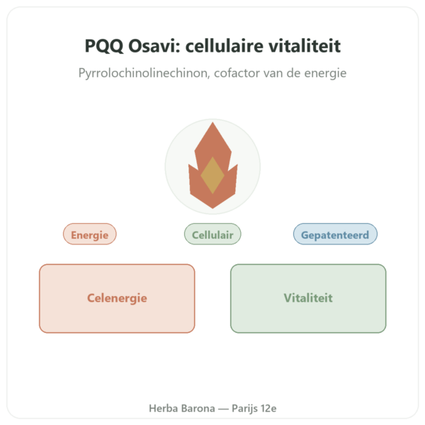 PQQ 20 mg Osavi - Pyrroloquinolinequinon presentatie Paris Herba Barona