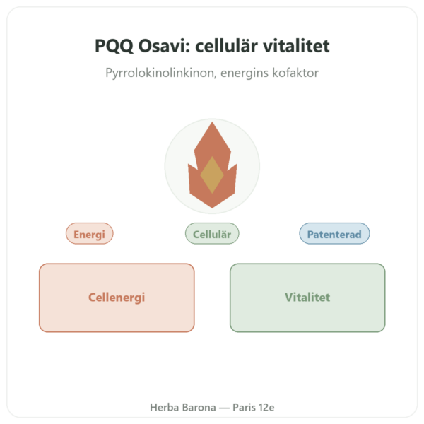 PQQ 20 mg – Osavi – Pyrrolokinolinkinon presentation Paris Herba Barona