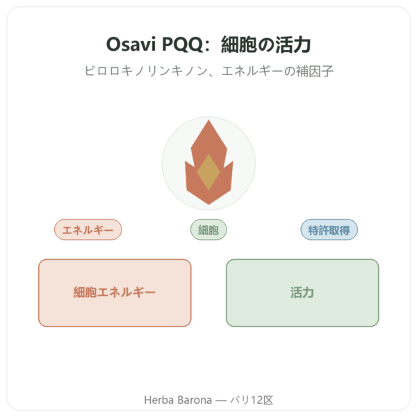 PQQ 20 mg – Osavi – ピロロキノリンキノン presentation Paris Herba Barona