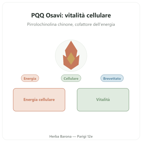 PQQ 20 mg – Osavi – Pirroloquinolina Chinone – 60 Capsule Vegetali presentazione Paris Herba Barona