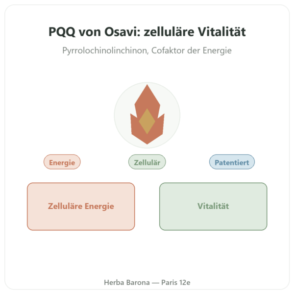 PQQ 20 mg – Osavi – Pyrroloquinolinchinon Vorstellung Paris Herba Barona