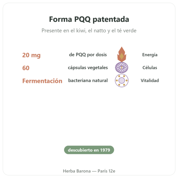 PQQ 20 mg – Osavi – Pirroloquinolina Quinona beneficios y datos clave Paris Herba Barona