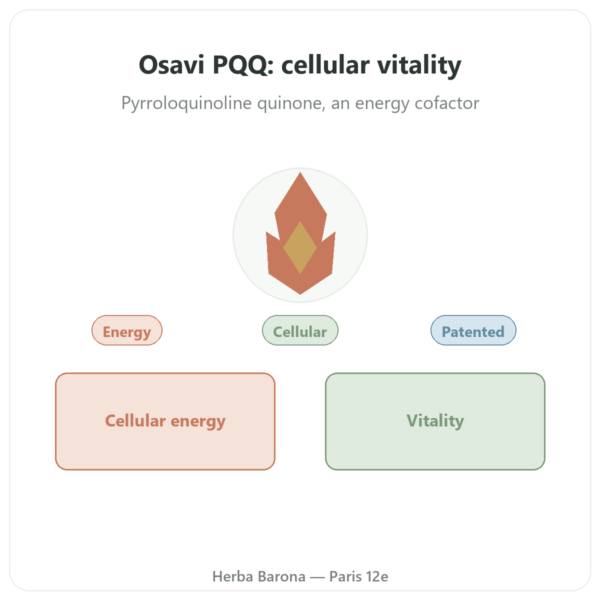 PQQ 20mg – Osavi – Pyrroloquinoline Quinone presentation Paris Herba Barona