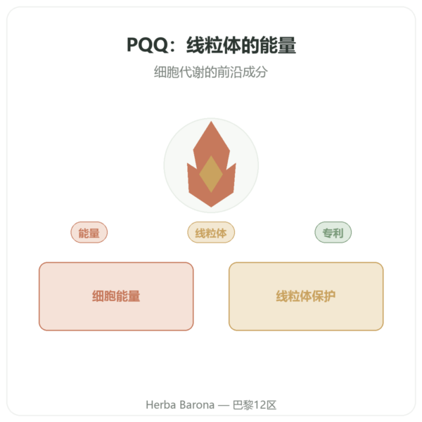 PQQ:吡咯喹啉醌 – Dynveo – 60粒胶囊 产品展示 Paris Herba Barona