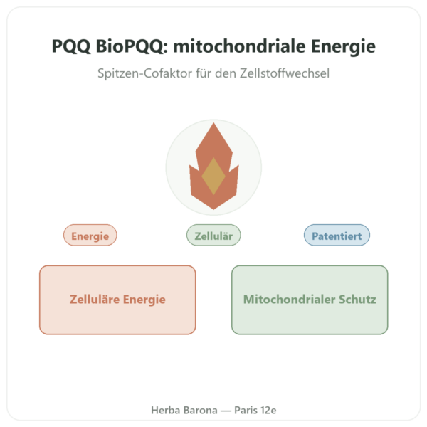 PQQ BioPQQ 20 mg – Doctor's Best – 30 Kapseln Vorstellung Paris Herba Barona