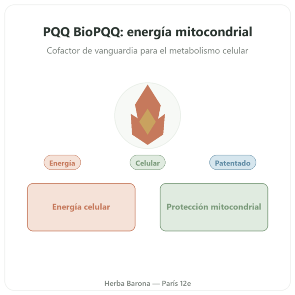 PQQ BioPQQ 20 mg – Doctor's Best – 30 Cápsulas presentación Paris Herba Barona