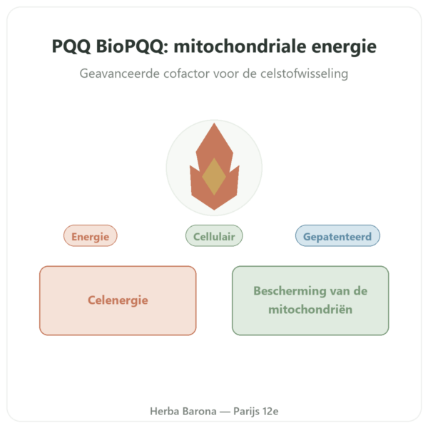 PQQ BioPQQ 20 mg Doctor's Best 30 capsules presentatie Paris Herba Barona