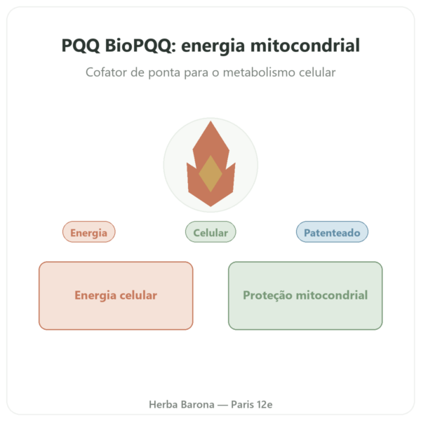 PQQ BioPQQ 20 mg – Doctor's Best – 30 Cápsulas – Comprar apresentação Paris Herba Barona