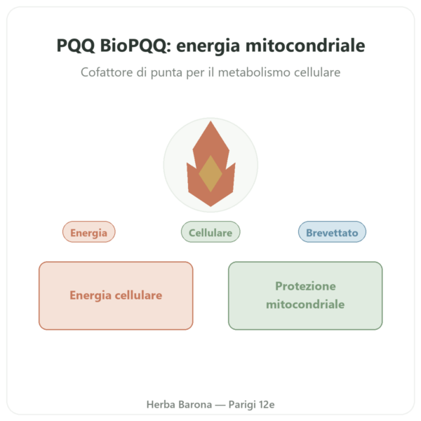 PQQ BioPQQ 20 mg – Doctor's Best – 30 capsule presentazione Paris Herba Barona