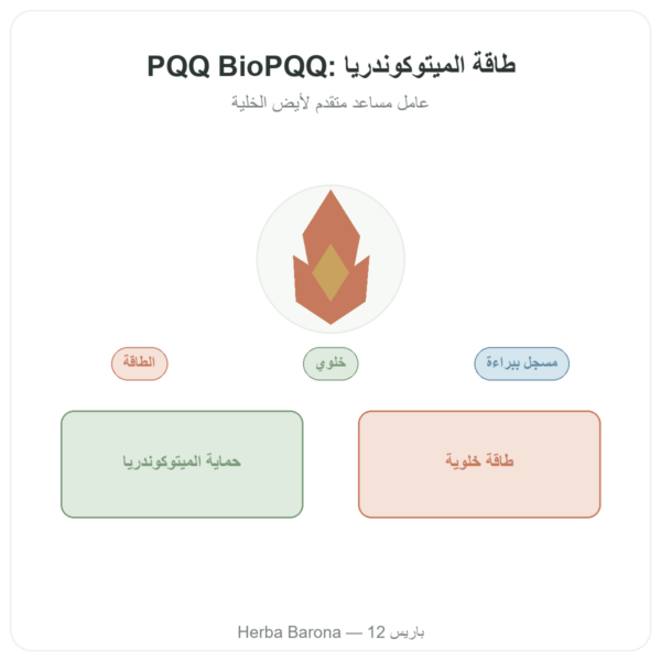PQQ BioPQQ 20 مجم – Doctor's Best – 30 كبسولة عرض المنتج Paris Herba Barona