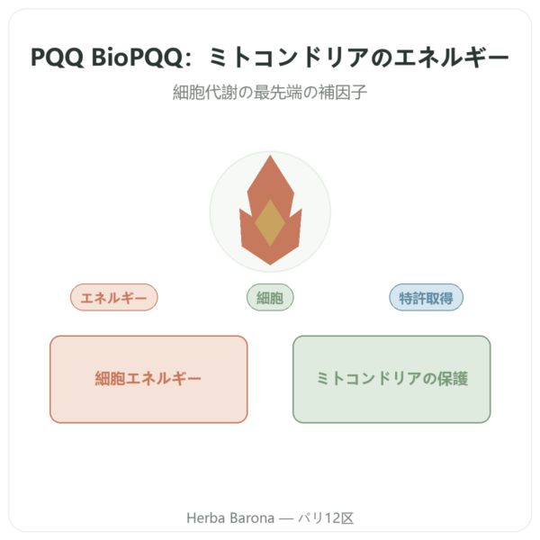 PQQ BioPQQ 20 mg – Doctor's Best – 30カプセル presentation Paris Herba Barona
