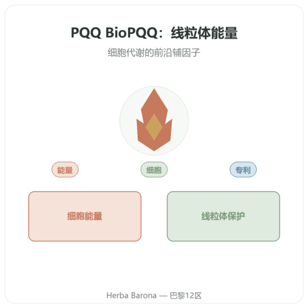 PQQ BioPQQ 20 mg – Doctor's Best – 30 粒胶囊 产品展示 Paris Herba Barona