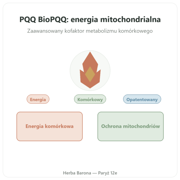 PQQ BioPQQ 20 mg – Doctor's Best – 30 kapsułek prezentacja Paris Herba Barona