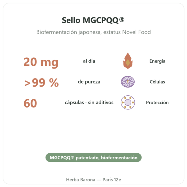 PQQ: Pirroloquinolina quinona – Dynveo – 60 cápsulas beneficios y datos clave Paris Herba Barona