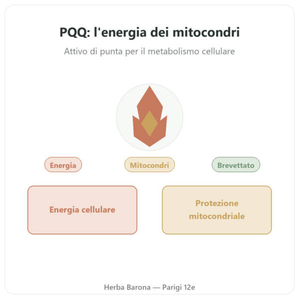 PQQ: Pirroloquinolina chinone – Dynveo – 60 capsule presentazione Paris Herba Barona