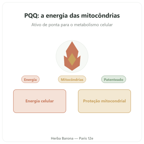 PQQ: Pirroloquinolina quinona – Dynveo – 60 cápsulas apresentação Paris Herba Barona