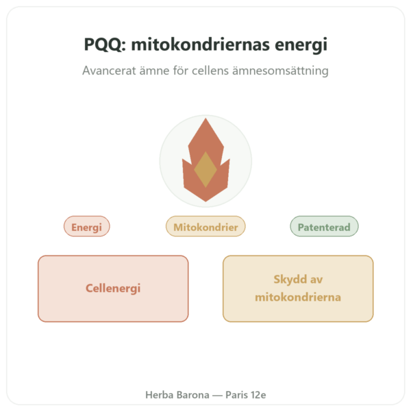 PQQ: Pyrrolokinolinkinon – Dynveo – 60 kapslar presentation Paris Herba Barona