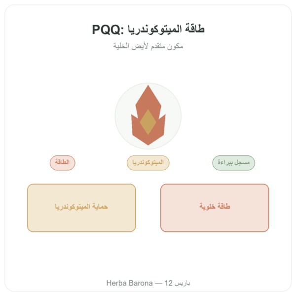 PQQ بيروللوكينولين كينون – Dynveo – 60 كبسولة عرض المنتج Paris Herba Barona