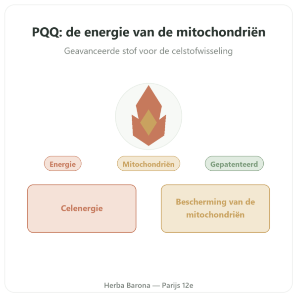 PQQ: Pyrroloquinolinequinon – Dynveo – 60 capsules presentatie Paris Herba Barona