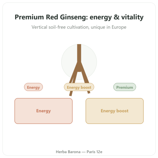 Premium Red Ginseng - Dynveo - 200mg - 60 Capsules presentation Paris Herba Barona