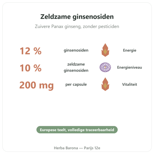 Premium Rode Ginseng – Dynveo – 200mg – 60 capsules voordelen en kerngegevens Paris Herba Barona
