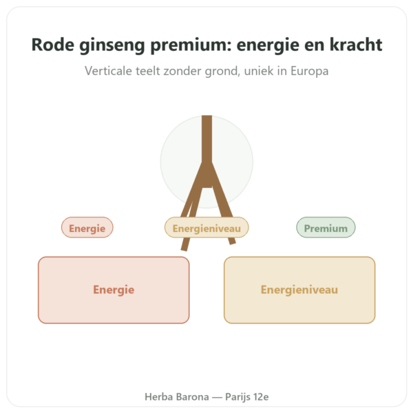 Premium Rode Ginseng – Dynveo – 200mg – 60 capsules presentatie Paris Herba Barona