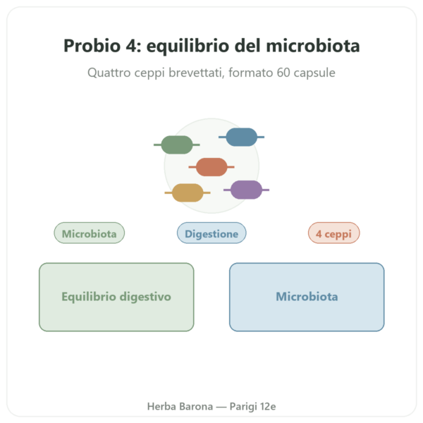 Probio 4 – Dynveo – 60 capsule presentazione Paris Herba Barona