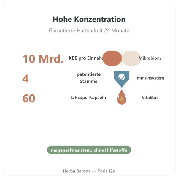 Probio 4 Multi-Stamm-Probiotika – Dynveo – 60 Kapseln Vorteile und Fakten Paris Herba Barona