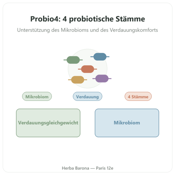 Probio 4 Reiseformat – Dynveo – 28 Kapseln Vorstellung Paris Herba Barona