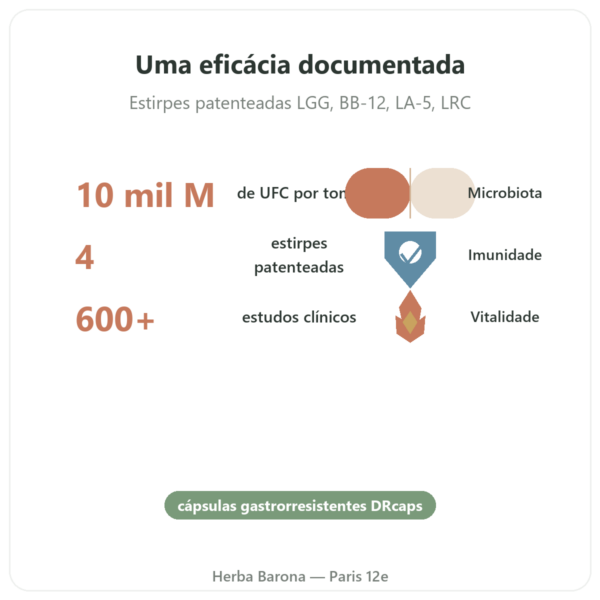 Probio4 Dynveo 28 cápsulas benefícios e dados principais Paris Herba Barona