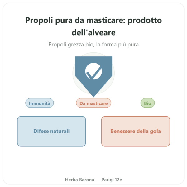 Propoli pura da masticare bio in barretta – Propolia presentazione Paris Herba Barona