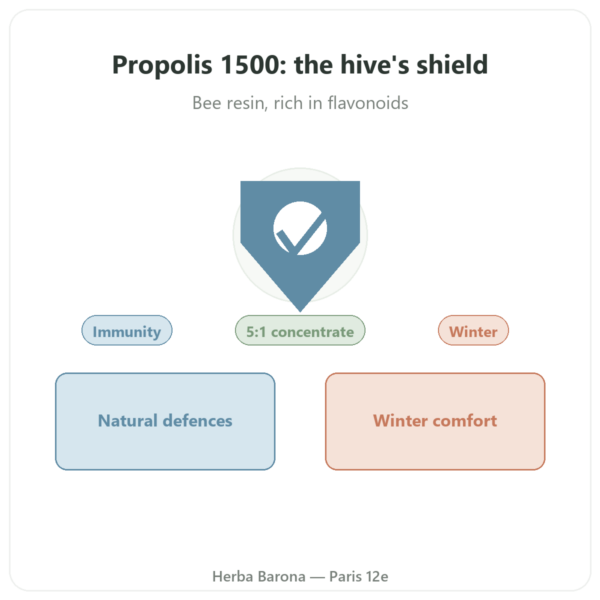 Propolis 1500mg – NOW Foods – 100 capsules presentation Paris Herba Barona