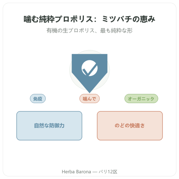 有機プロポリス そのまま噛むタイプ バー – Propolia presentation Paris Herba Barona