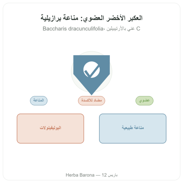 بروبوليس أخضر عضوي – Propolia – 90 كبسولة عرض المنتج Paris Herba Barona