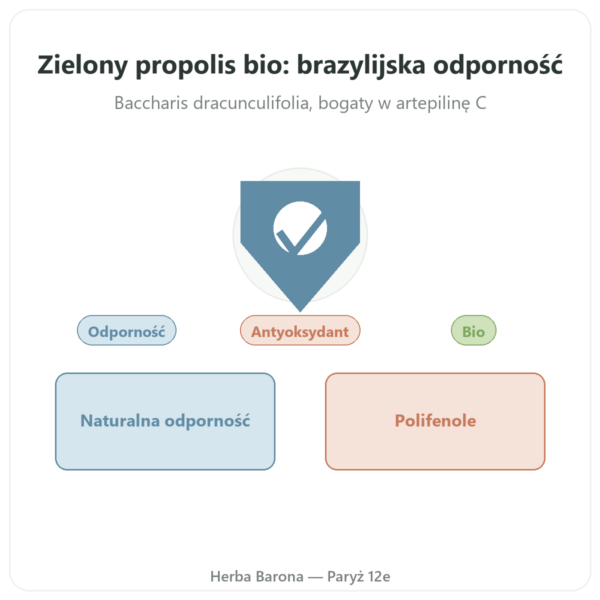 Propolis Zielony Bio – Propolia – 90 kapsułek prezentacja Paris Herba Barona