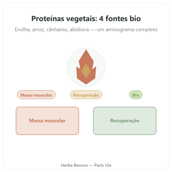 Proteína vegetal bio – Dynveo – 500 g apresentação Paris Herba Barona