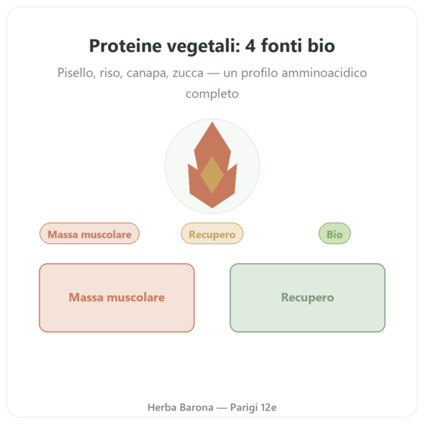 Proteine vegetali BIO – Dynveo – 500 g presentazione Paris Herba Barona