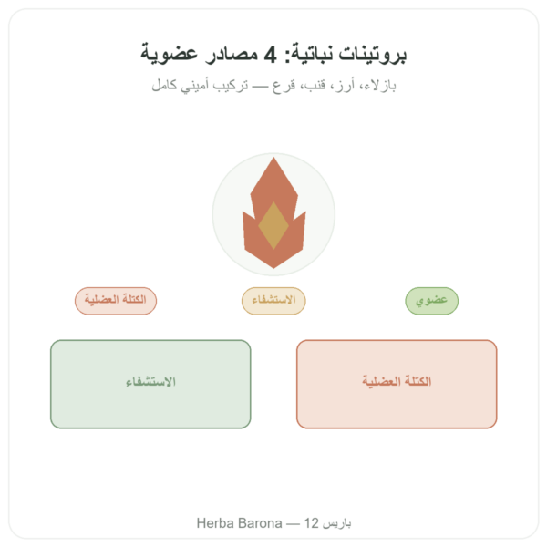بروتين نباتي عضوي – Dynveo – 500 غ عرض المنتج Paris Herba Barona