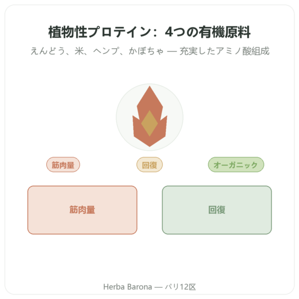 有機植物性プロテイン – Dynveo – 500 g presentation Paris Herba Barona