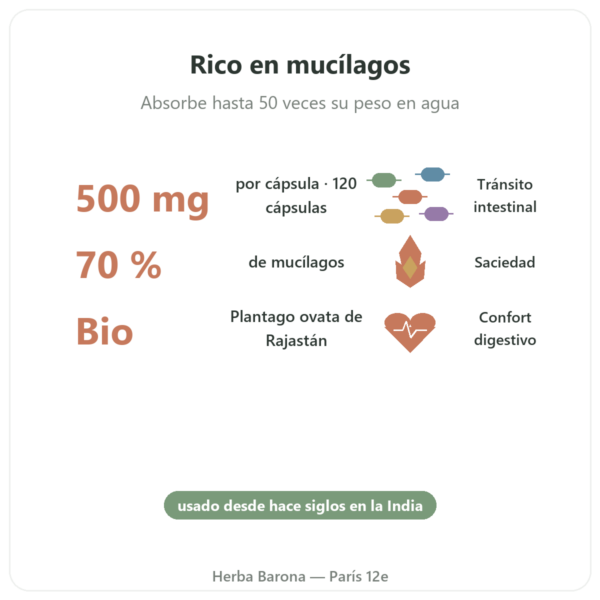 Psyllium Bio 500 mg – 120 Cápsulas – Nature et Partage beneficios y datos clave Paris Herba Barona