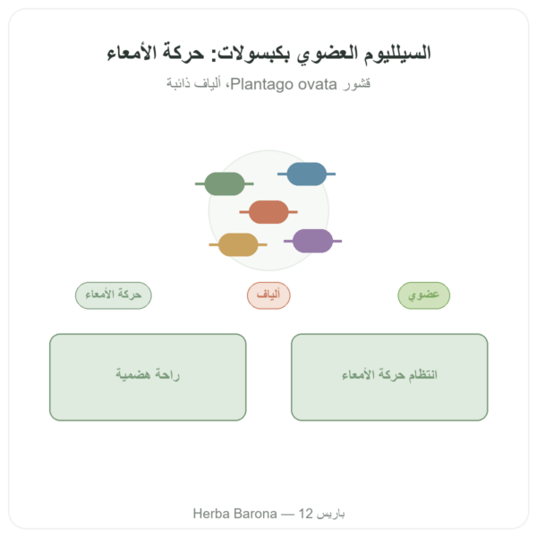 سيلليوم عضوي 500 ملغ – 120 كبسولة – Nature et Partage عرض المنتج Paris Herba Barona
