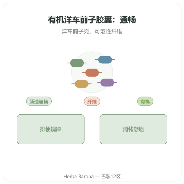 有机洋车前子 500mg – 120 粒胶囊 – Nature et Partage 产品展示 Paris Herba Barona