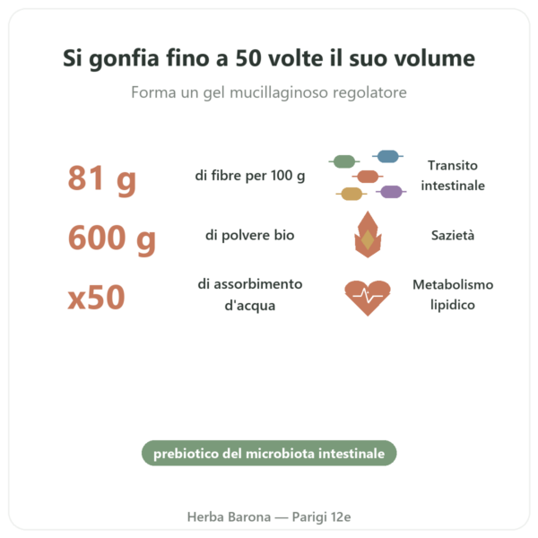 Psyllium Biondo Bio in Polvere – Ethnoscience – 600 g benefici e dati chiave Paris Herba Barona