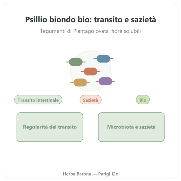 Psyllium Biondo Bio in Polvere – Ethnoscience – 600 g presentazione Paris Herba Barona