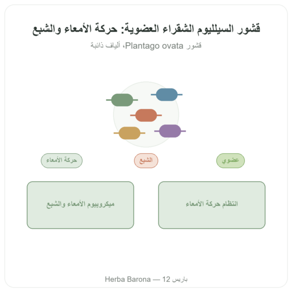 قشور بذور السيليوم الأشقر العضوي بودرة – Ethnoscience – 600 غ عرض المنتج Paris Herba Barona