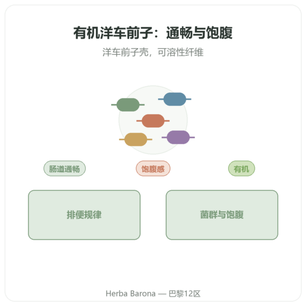 有机洋车前子壳粉 – Ethnoscience – 600 克 产品展示 Paris Herba Barona