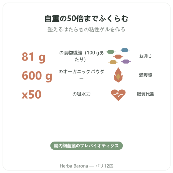 オーガニック サイリウムハスク パウダー – Ethnoscience – 600 g benefits and key facts Paris Herba Barona