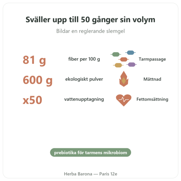 Blond Psyllium Eko i Pulver – Ethnoscience – 600 g fördelar och nyckelfakta Paris Herba Barona