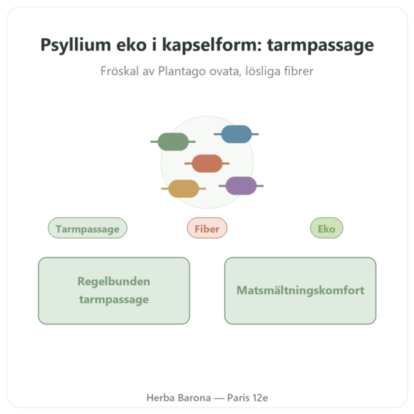 Ekologiskt Psyllium 500 mg – 120 kapslar – Nature et Partage presentation Paris Herba Barona